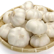 Chinese Fresh Pure White Garlic 5.5cm
